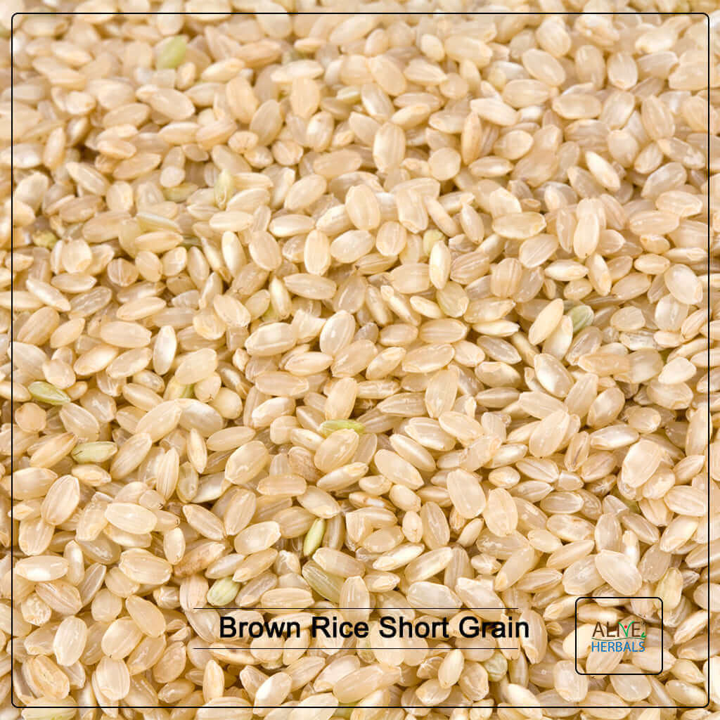 Brown Rice, Short Grain - Alive Herbals