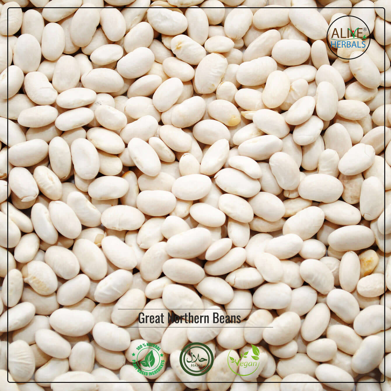 Great Northern Beans - Shop at Natural Food Store | Alive Herbals.