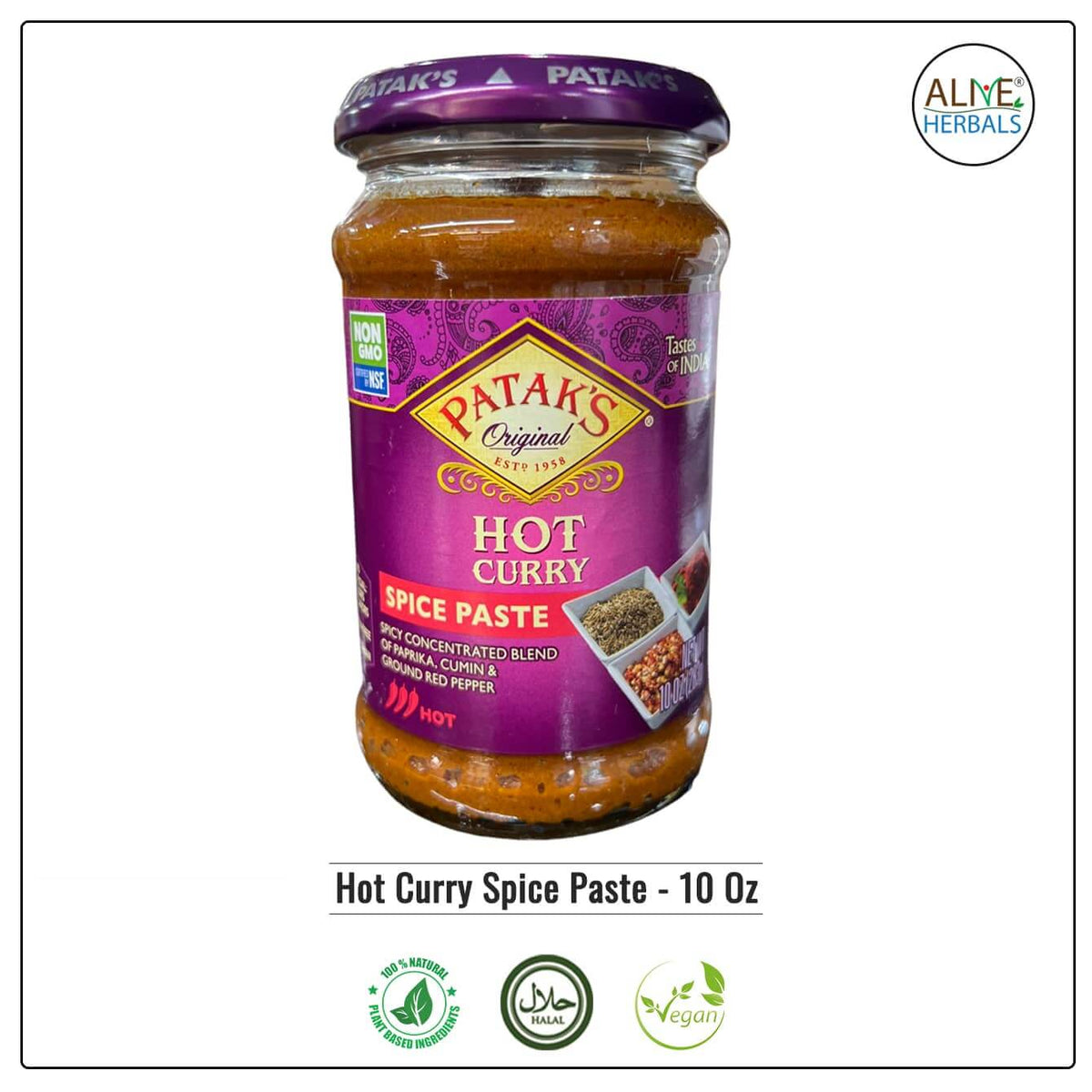 Hot Curry Spice Paste - Alive Herbals