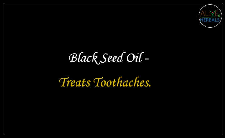 Best Black seed Oil - Buy from the natural health food store