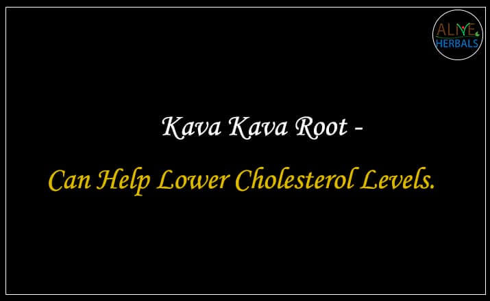 Kava Kava Root - Buy from the online herbal store