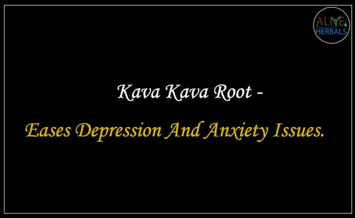 Kava Kava Root - Buy from the natural health food store