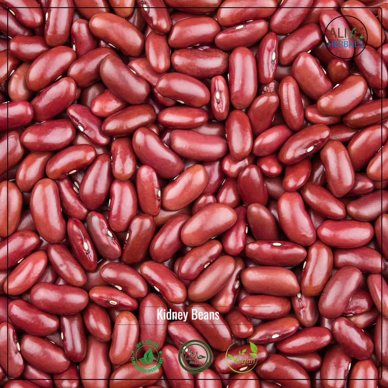 Kidney Beans - Shop at Natural Food Store | Alive Herbals.
