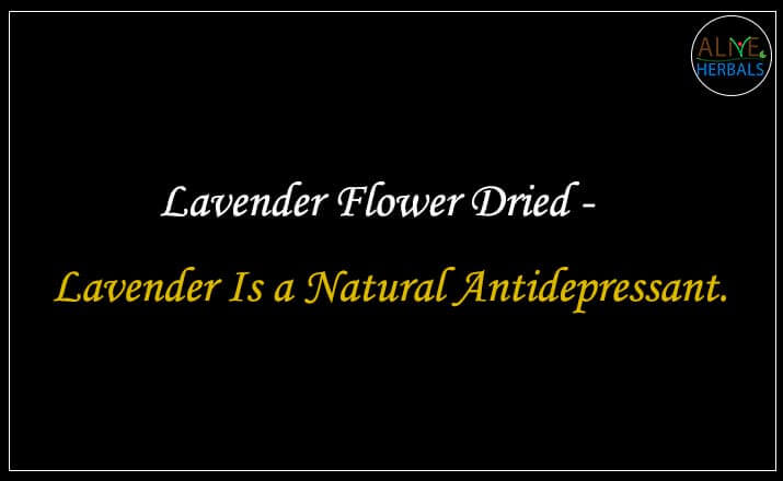 Lavender Flower Dried - Buy from the online herbal store