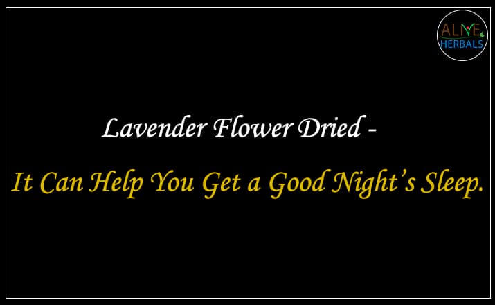 Lavender Flower Dried - Buy from the natural herb store