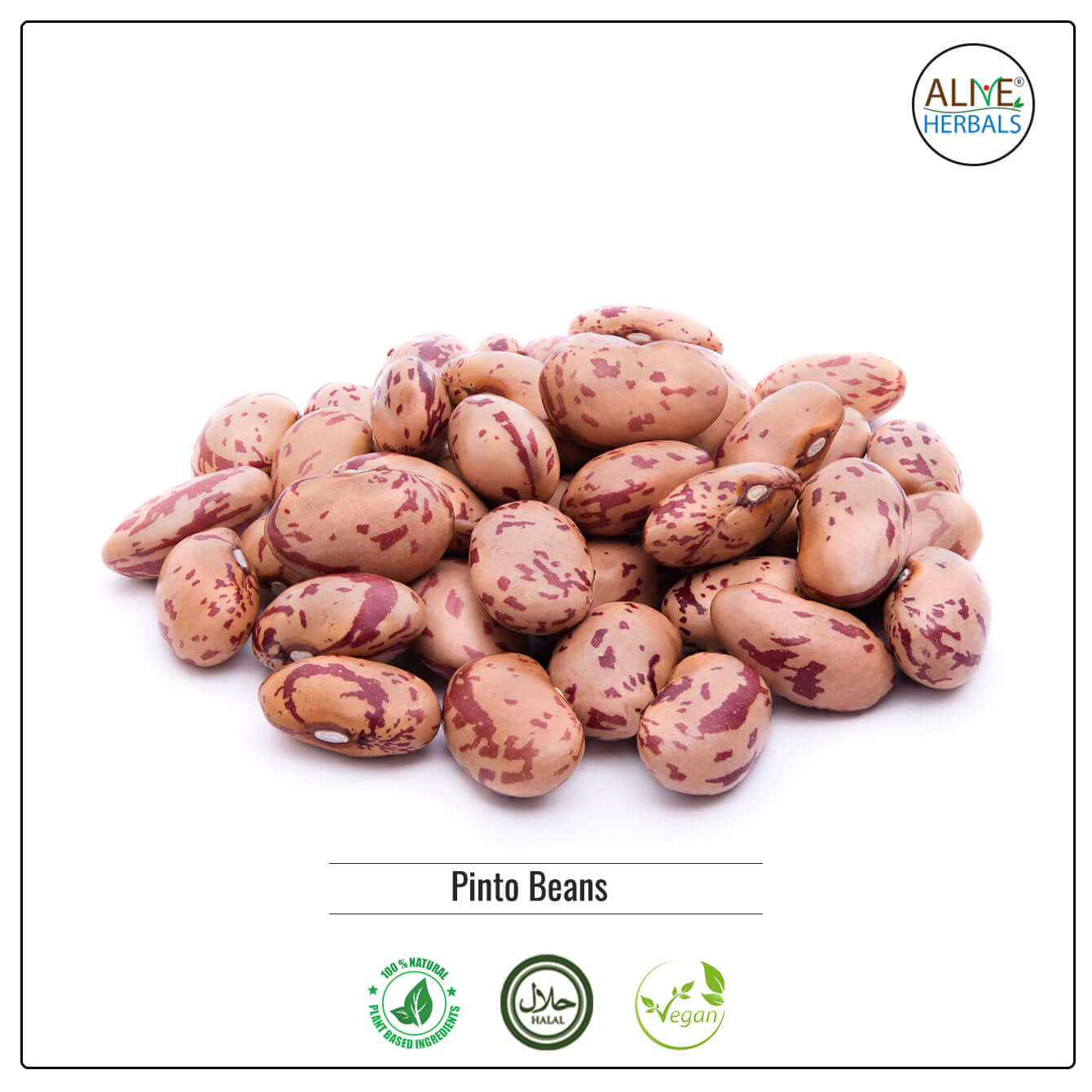 Pinto Beans - Shop at Natural Food Store | Alive Herbals.