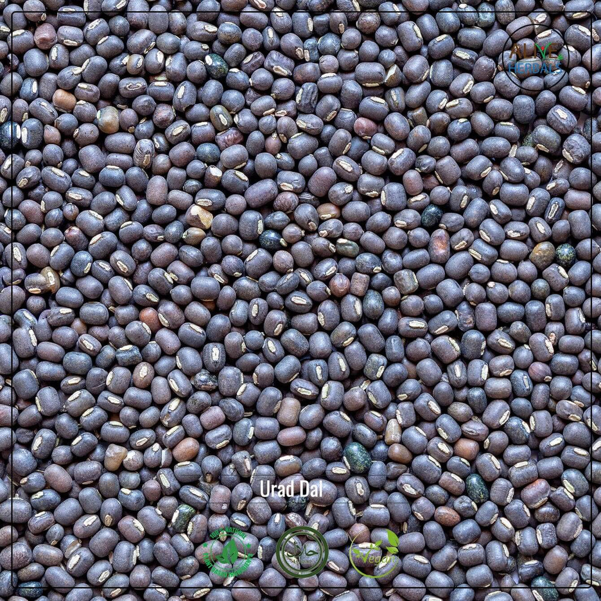 Urad Dal Lentils - Shop at Natural Food Store | Alive Herbals.